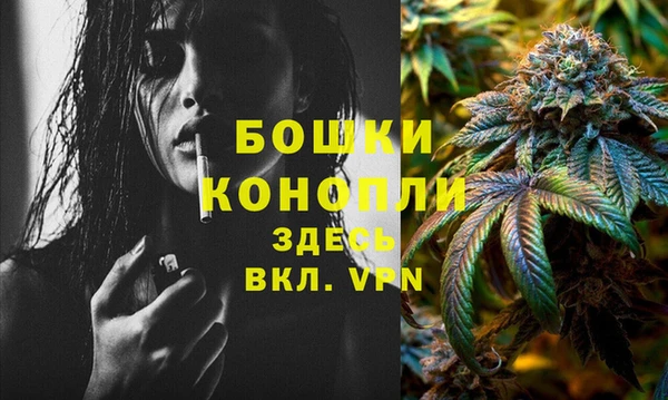 индика Кодинск