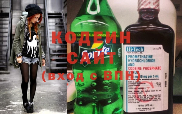 индика Кодинск