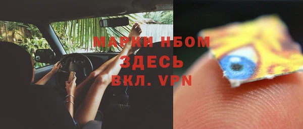 индика Кодинск