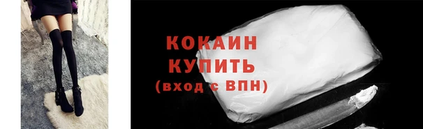 индика Кодинск