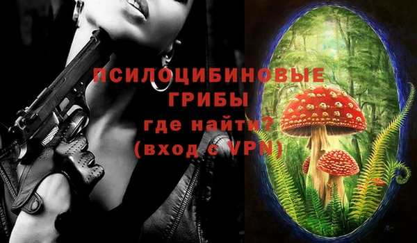 герыч Козловка