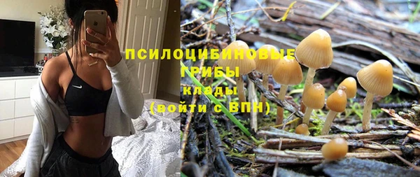 герыч Козельск
