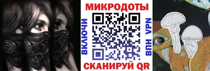 Купить  Нарткала  Галлюциногенные грибы Psilocybe 